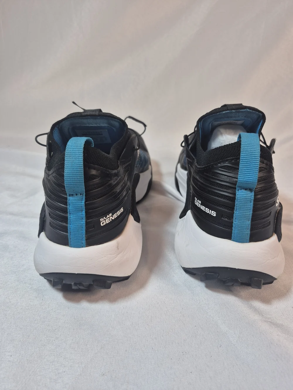 Salomon lab genesis